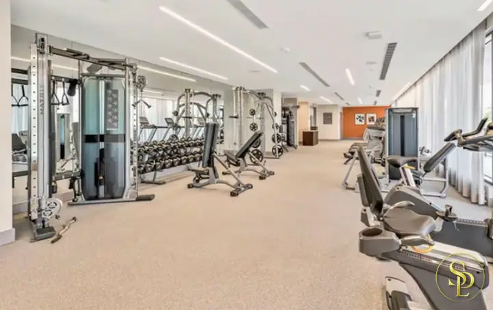 Elephant – photo 19