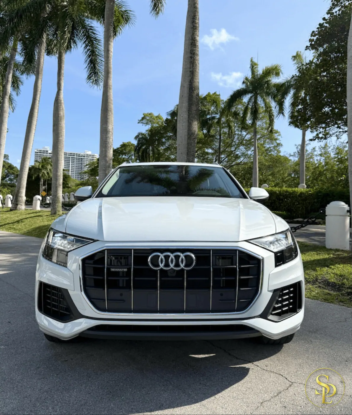 Audi Q8 – photo 6