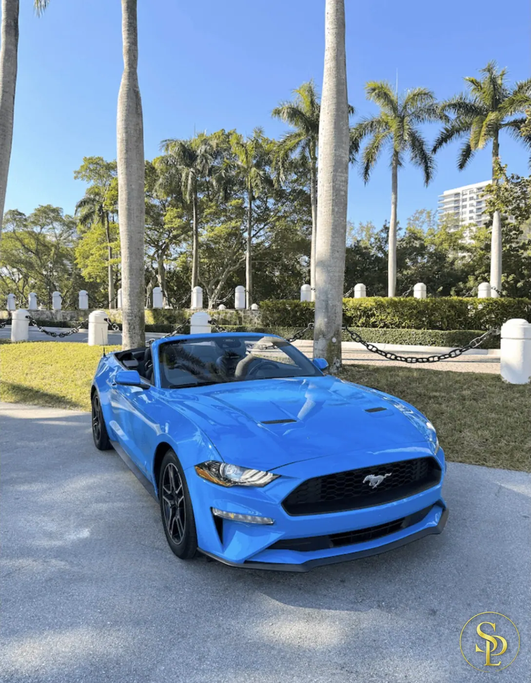 Ford Mustang – photo 5