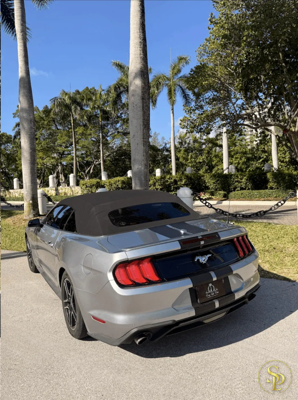 Ford Mustang Cabriolet – photo 5