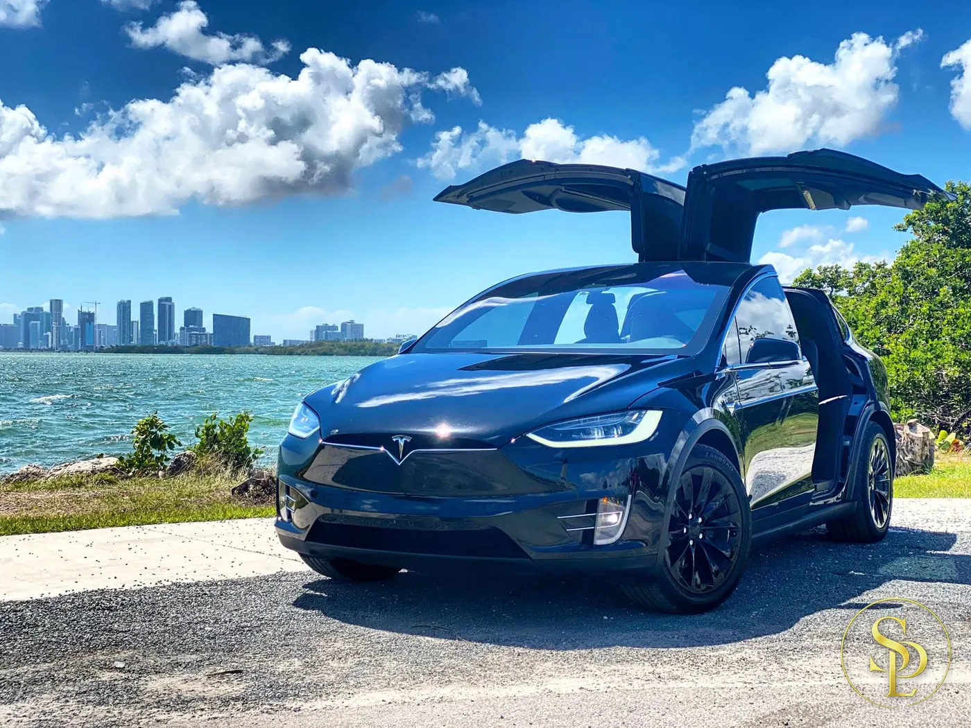 Tesla Model X – photo 1