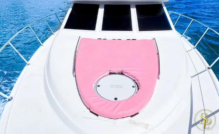 46' Maxum Pink – photo 3