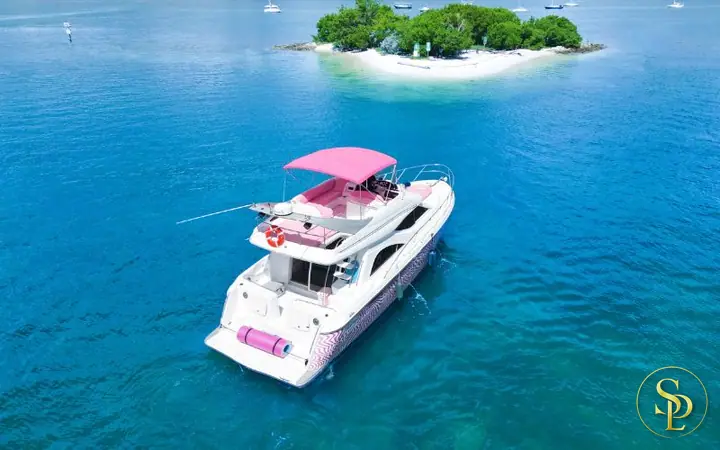46' Maxum Pink – photo 6